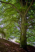 Biella - Parco della Burcina